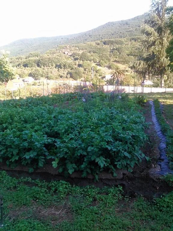 Albergue Turistico Via De La Plata Banos De Montemayor Dış mekan fotoğraf
